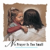 No Prayer Too Small Christian T-Shirt / Tees